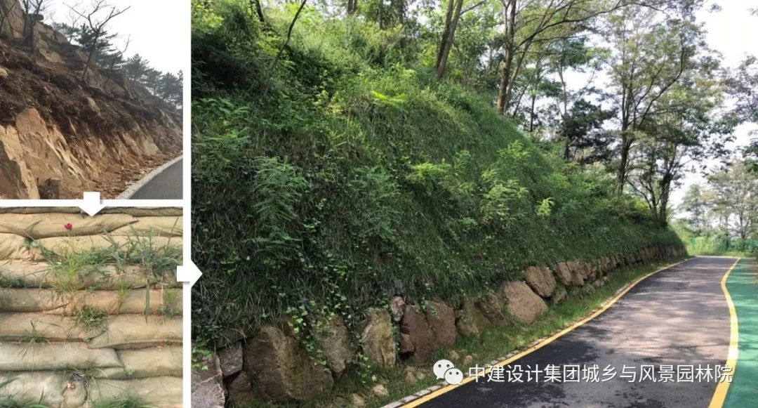 青岛浮山总体景观规划及重要节点详细设计丨中国青岛-138