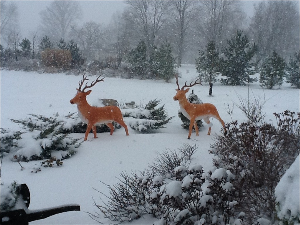 Annette家的圣诞节室内布置丨美国俄亥俄-4