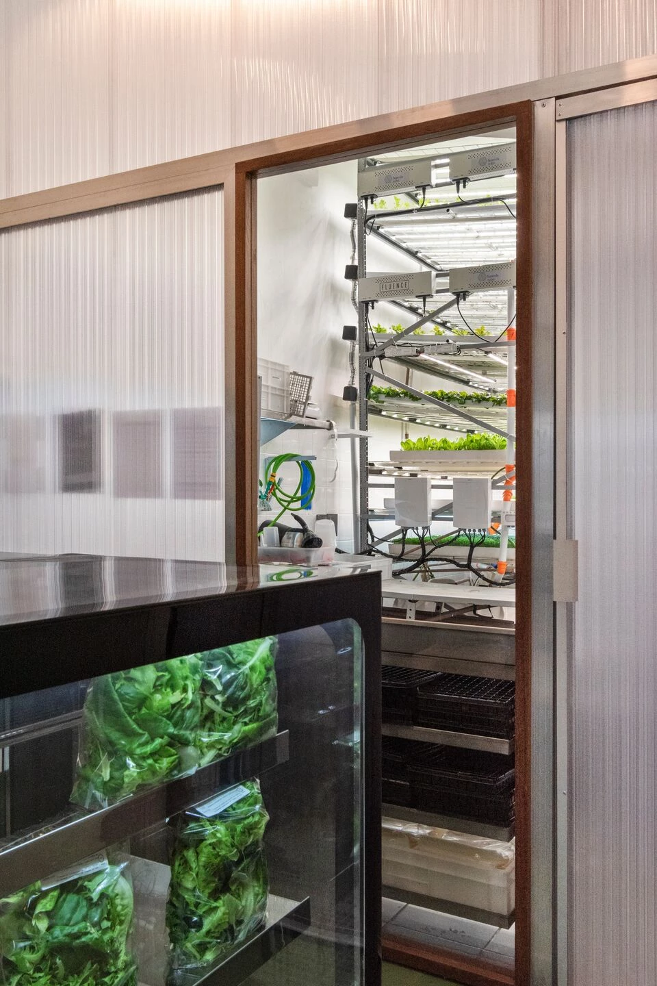 Fazenda Cubo 水培种植丨巴西圣保罗丨Estúdio Lava-17