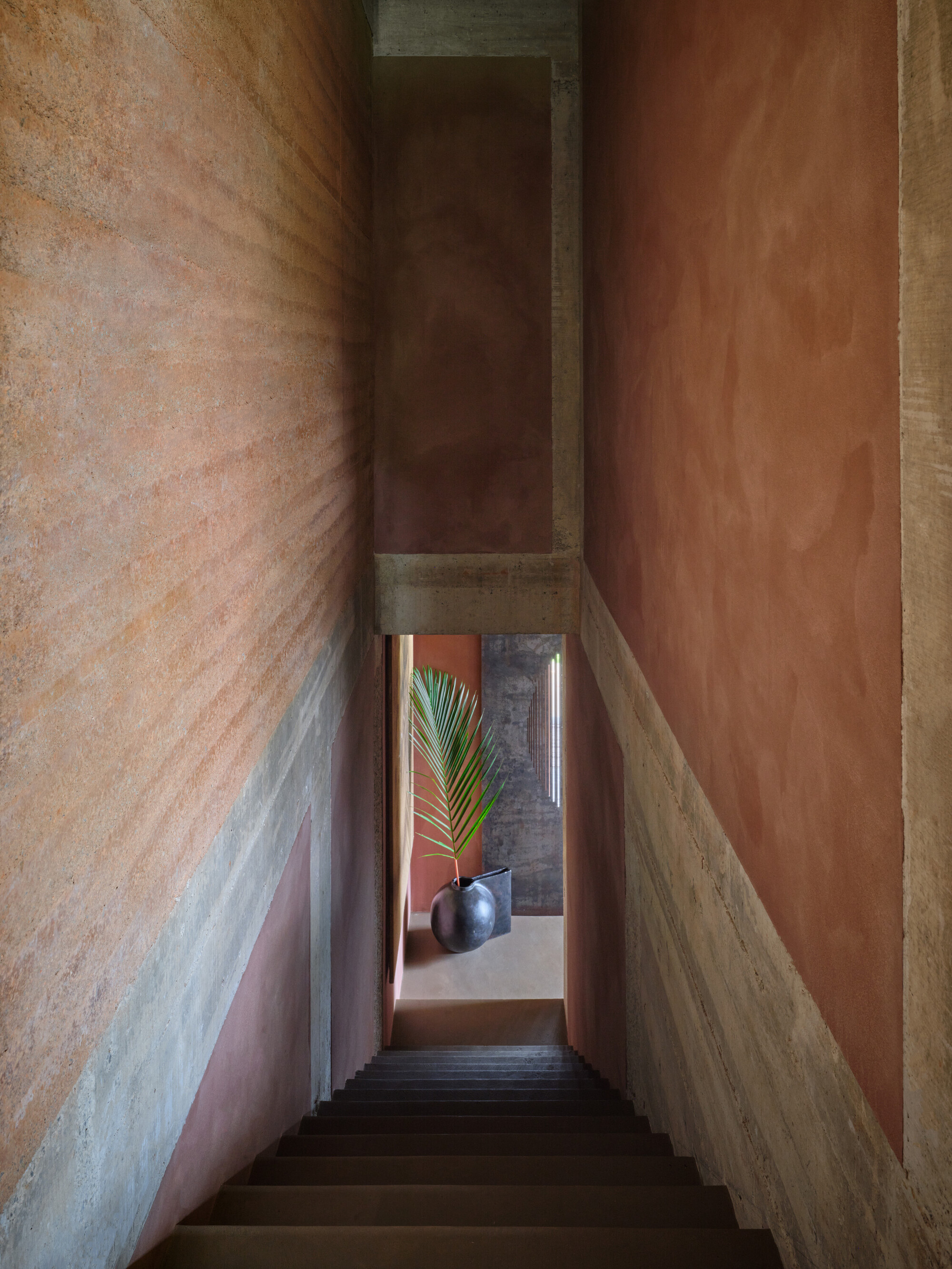 丨哥斯达黎加丨Formafatal-55