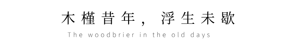 济南高新区贤文三期木槿园景观设计丨中国济南丨同圆设计集团股份有限公司 景观设计研究院-13