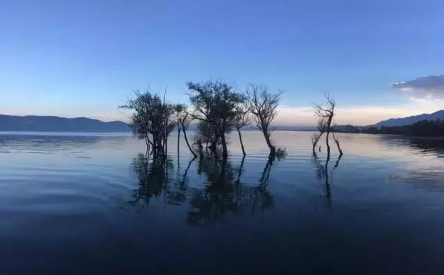 他爆改过的民宿，就像睡在云上的日子-3