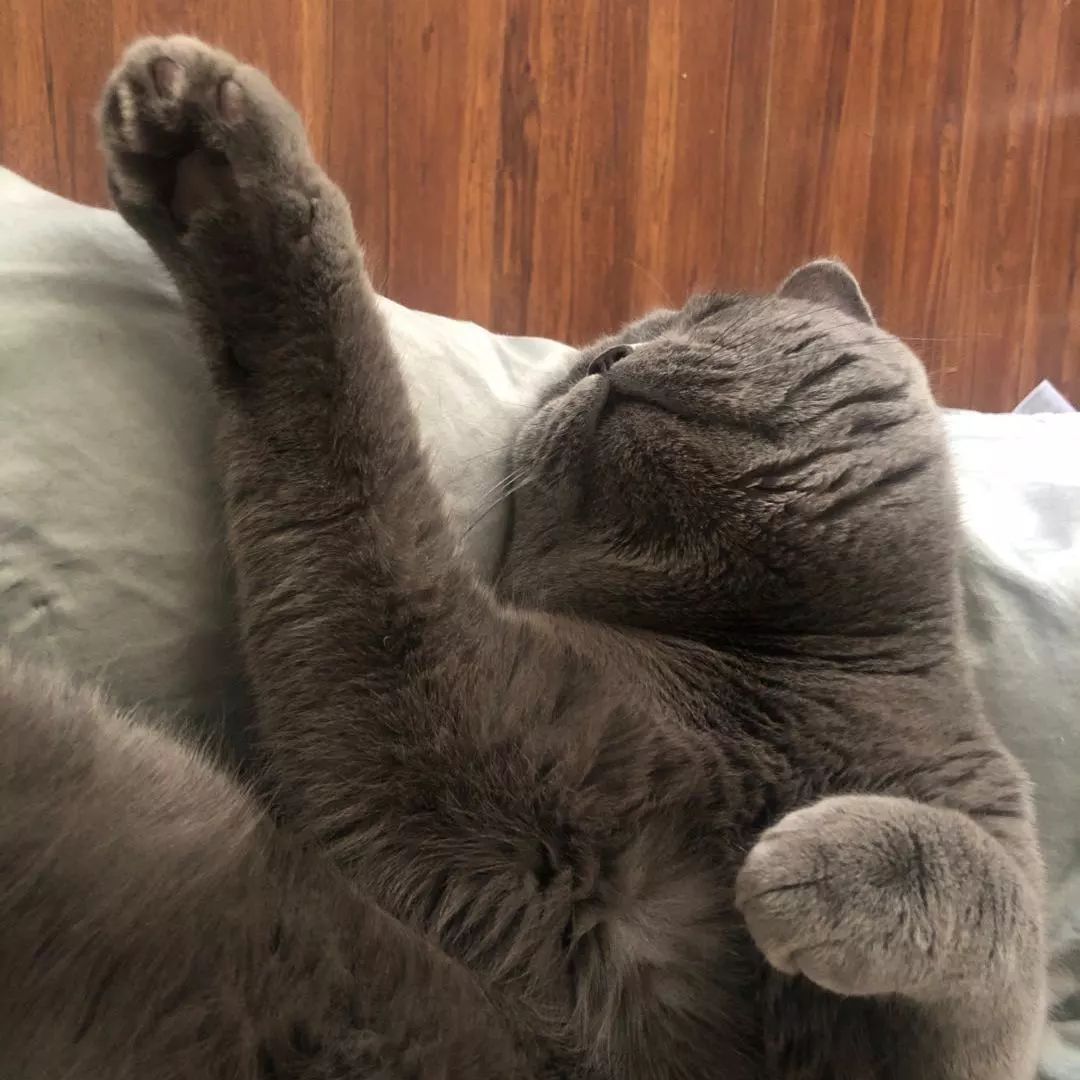 疫情下的设计团队 | 工作方式转变与感悟-35