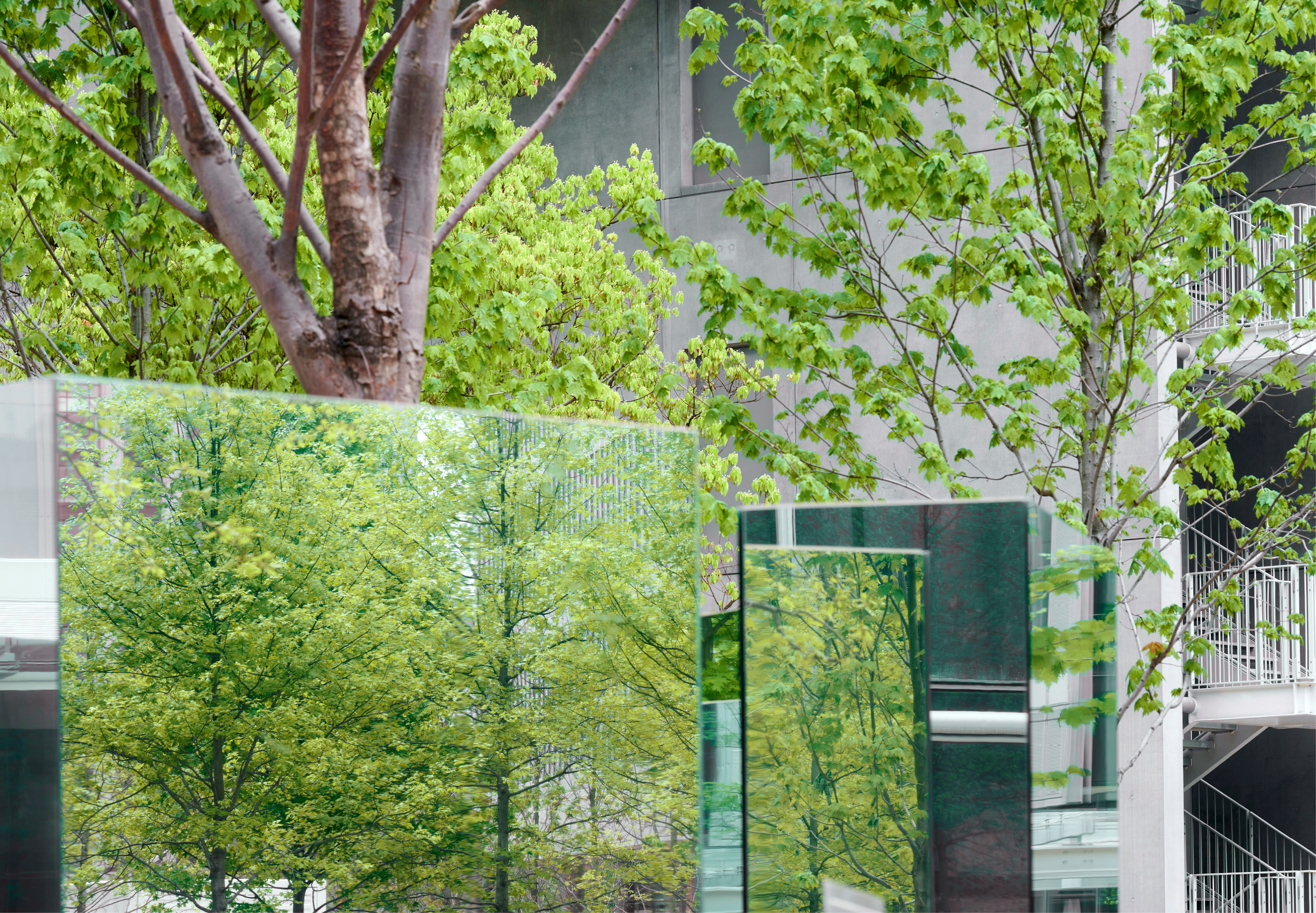 杭州天目里绿色嘉年华「森林里」丨中国杭州丨蚂蚁森林,杭州天目里,不是美术馆-19