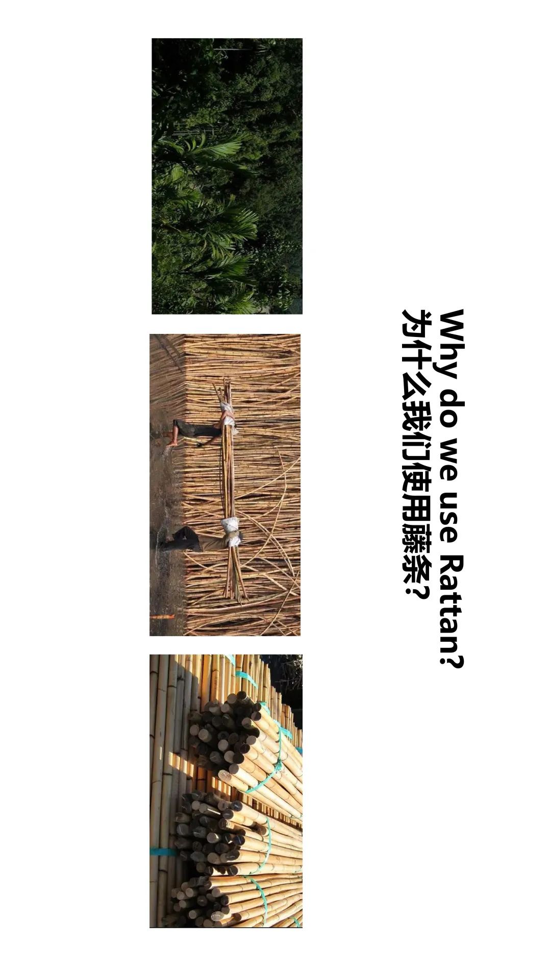 广州北岛创意园 Sika·Design 展厅,三代人对藤条的热爱-4