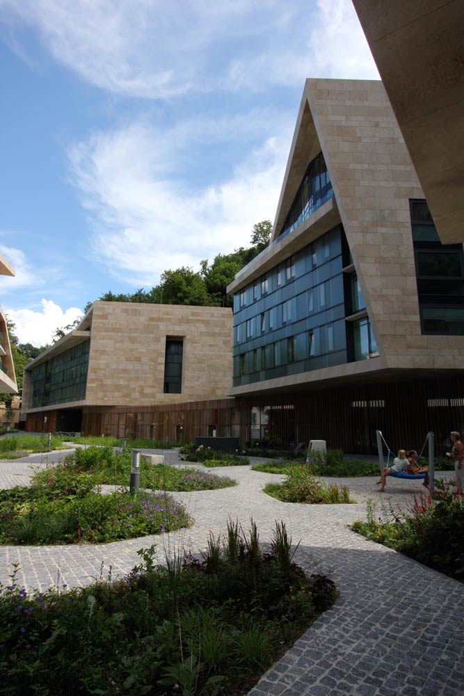 岩石中的城市绿洲-12