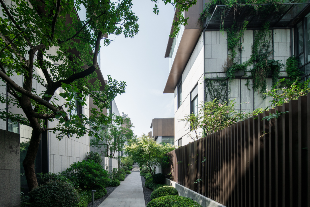 新作 极限容量下的院落空间实验 ：杭丨中国杭州丨孟凡浩-line+-53