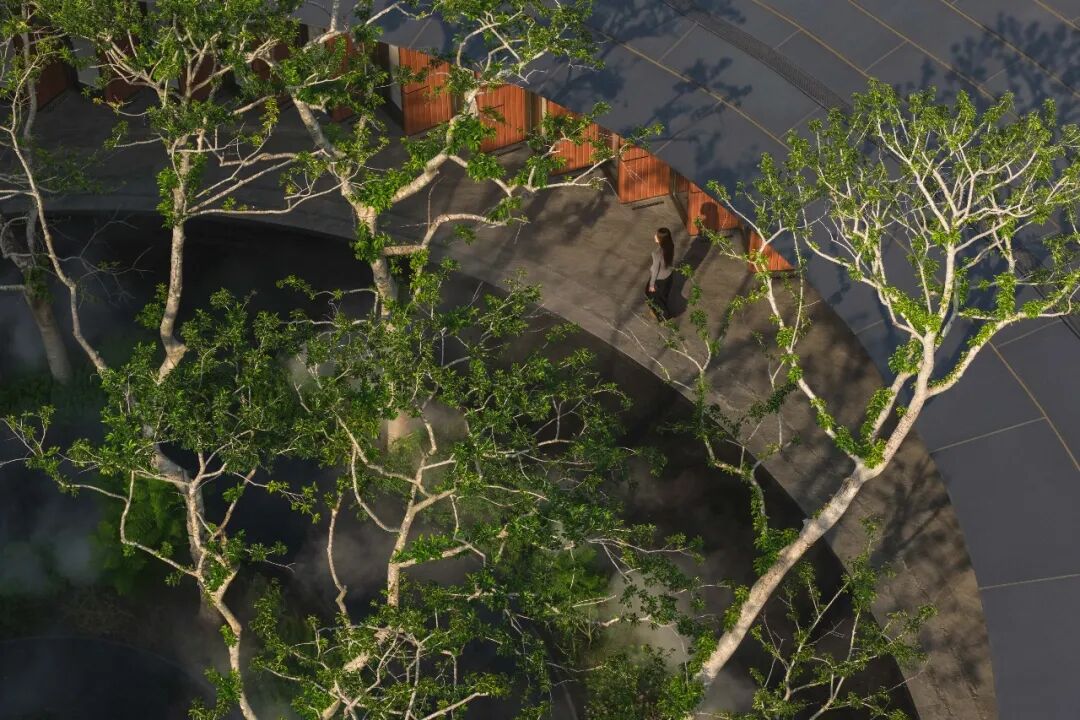 长沙松湖天地隐秀丨中国长沙丨TROP:terrains +open space-31