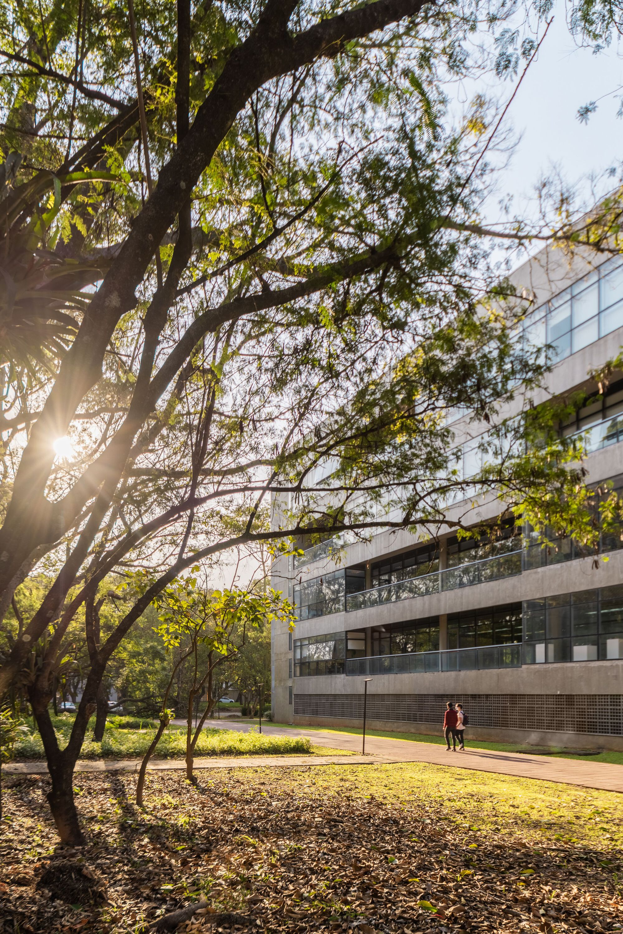 International Broadcasting Center of Universidade de São Paulo (CDI-USP) / Onze arquitetura-42