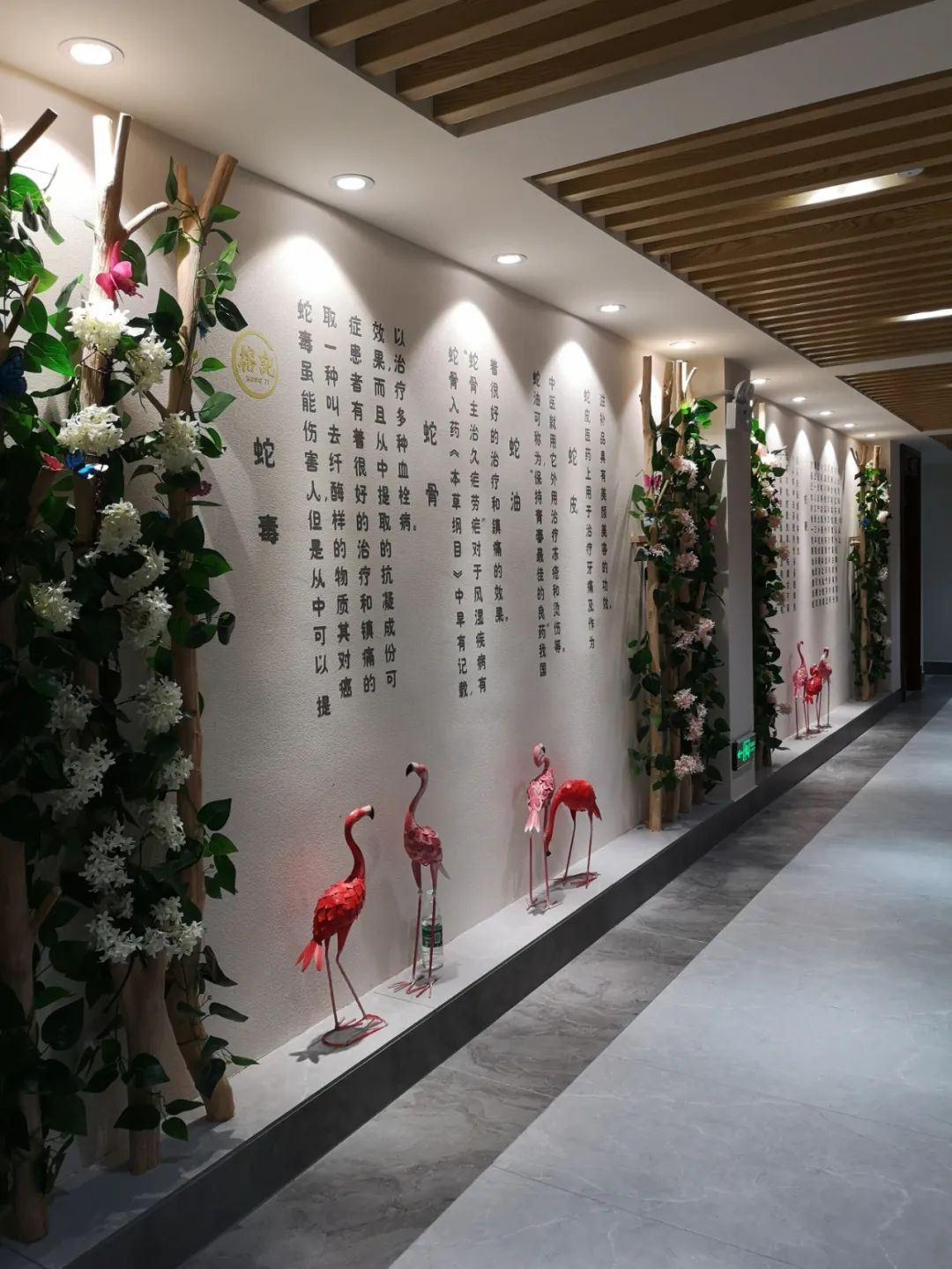 榕记粤菜体验·榕记蛇宴-45