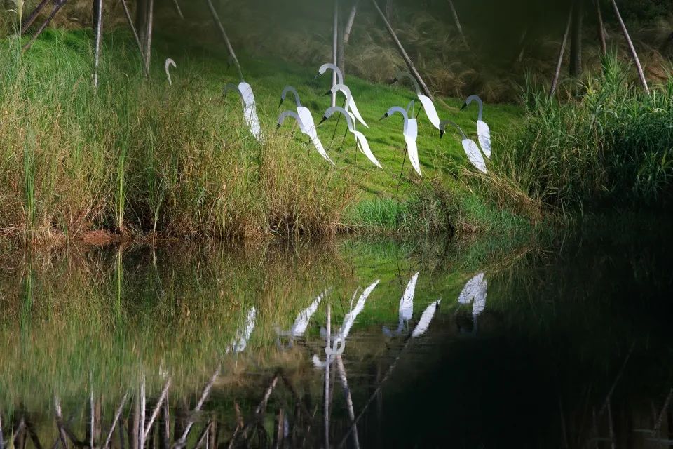 成都新希望种子乐园丨蓝海景观-96