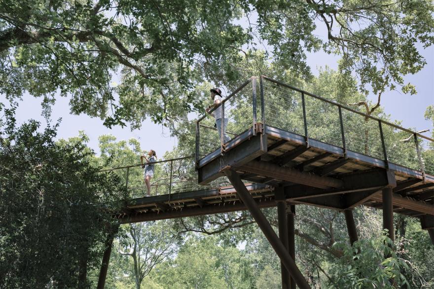 德州高地岛林冠步道丨美国德克萨斯丨SWA Group-34