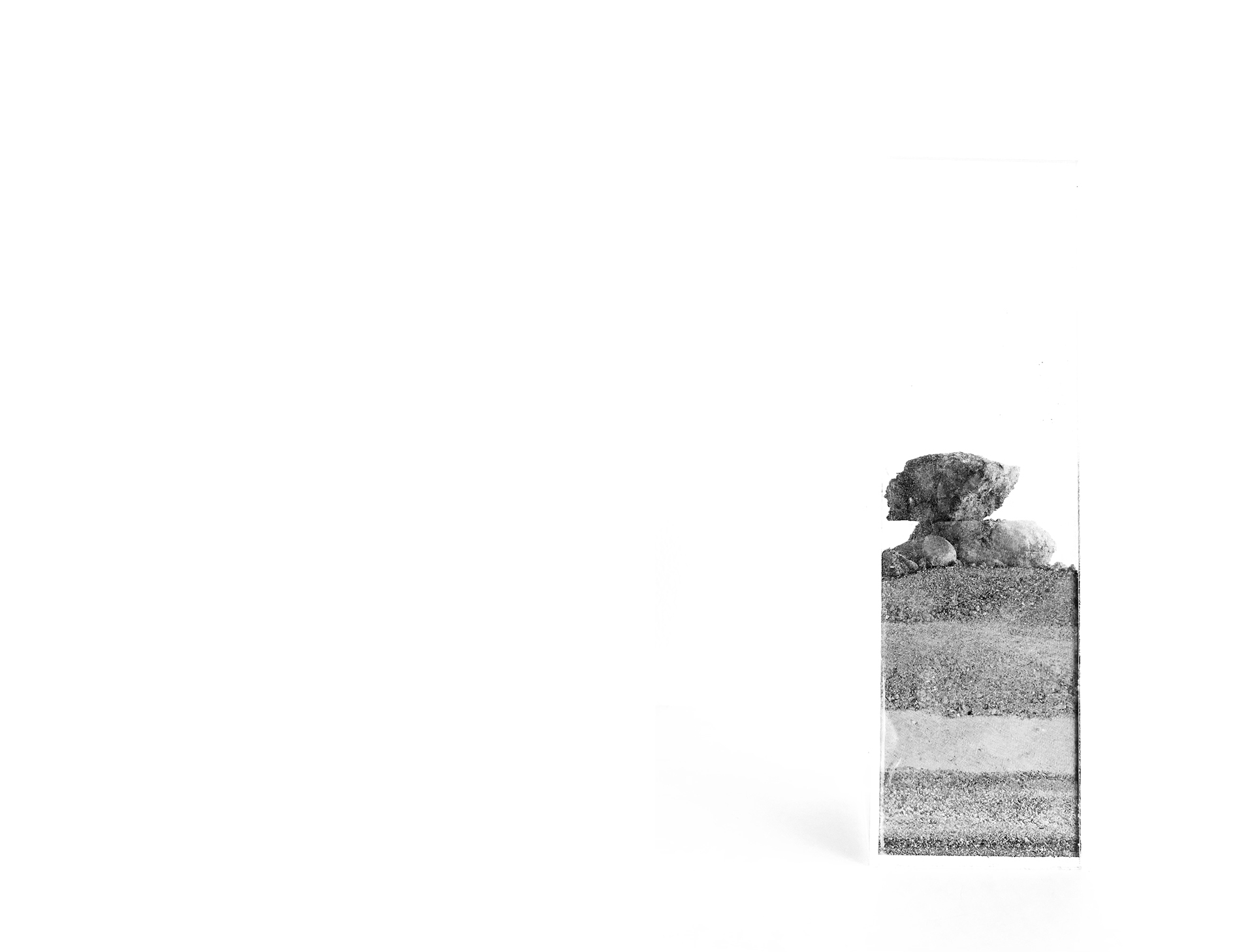 Sedimentos: Ecologías Performativas | Integrador Final-30