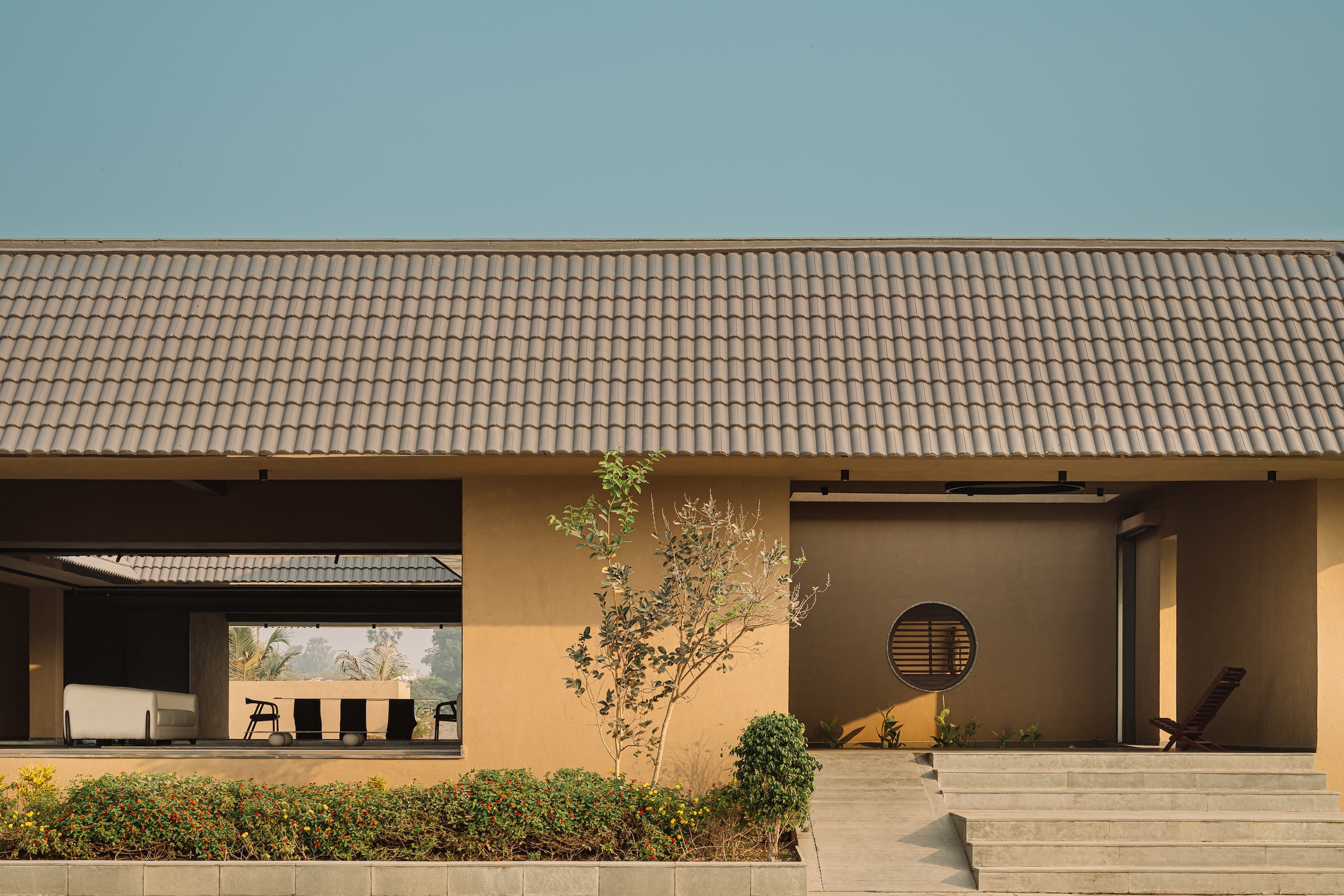 丨印度丨D'WELL-30