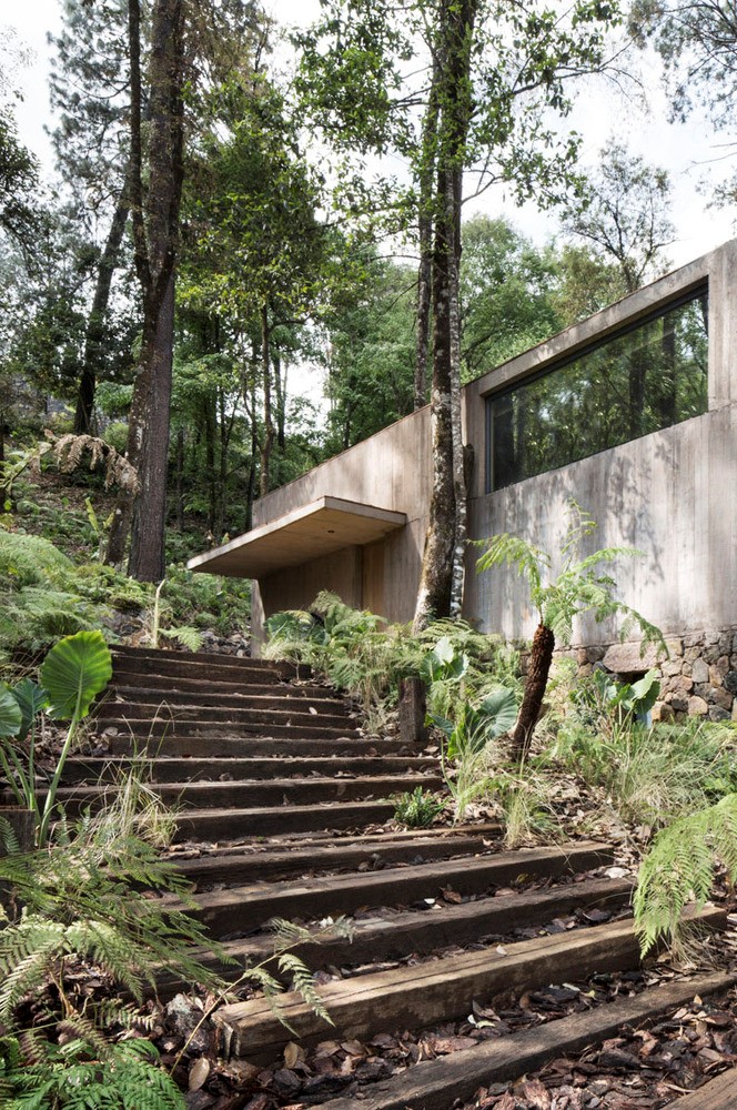 房屋/ Dellekamp建筑师-14