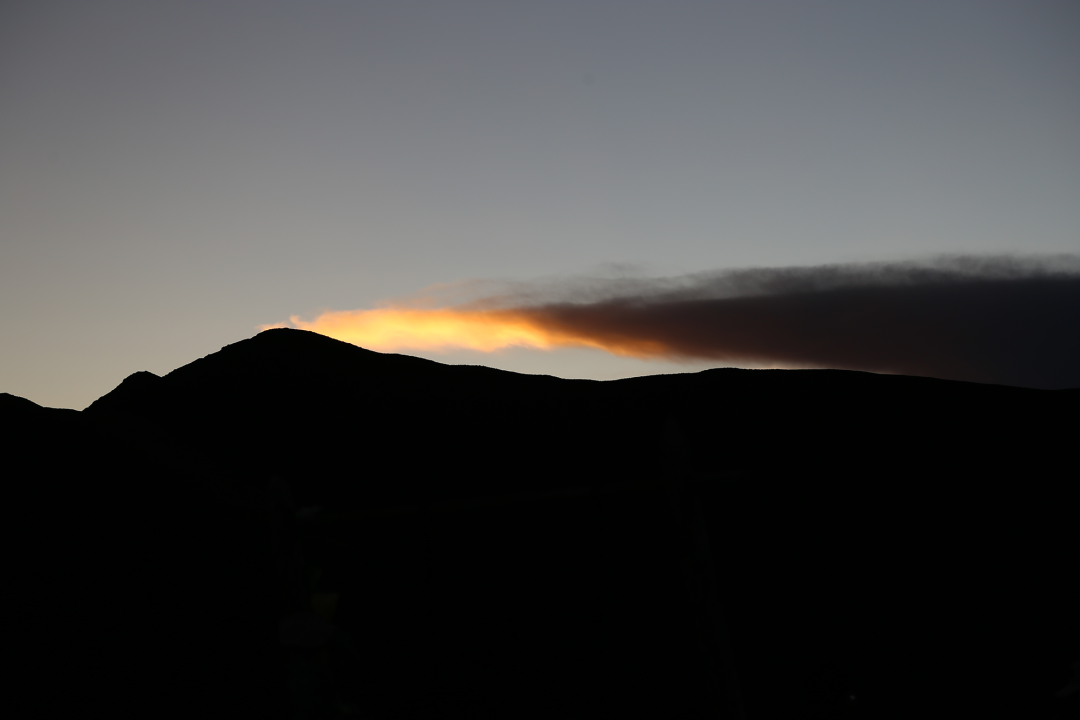 600㎡展厅设计 自然长期主义丨中国深圳丨懒猫创意空间-16