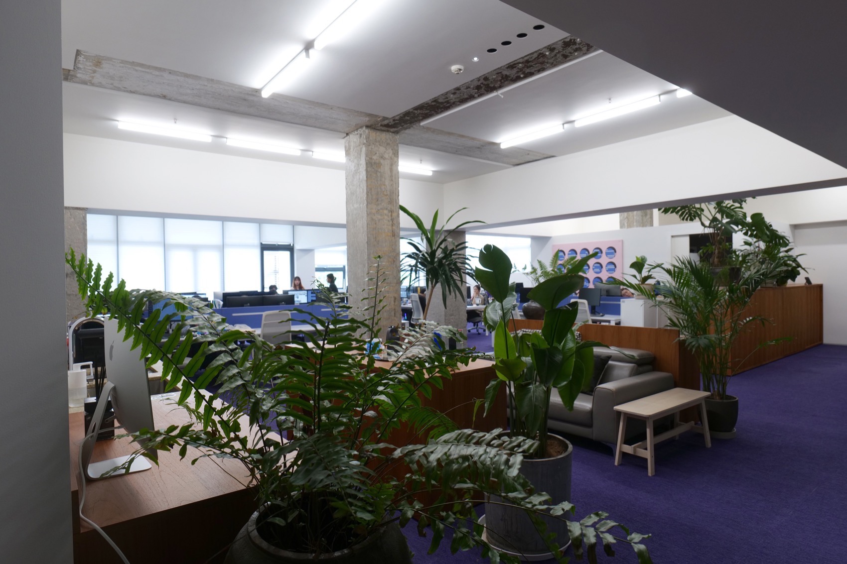 35岁以下创意人：林倩怡 + 杨东子-0