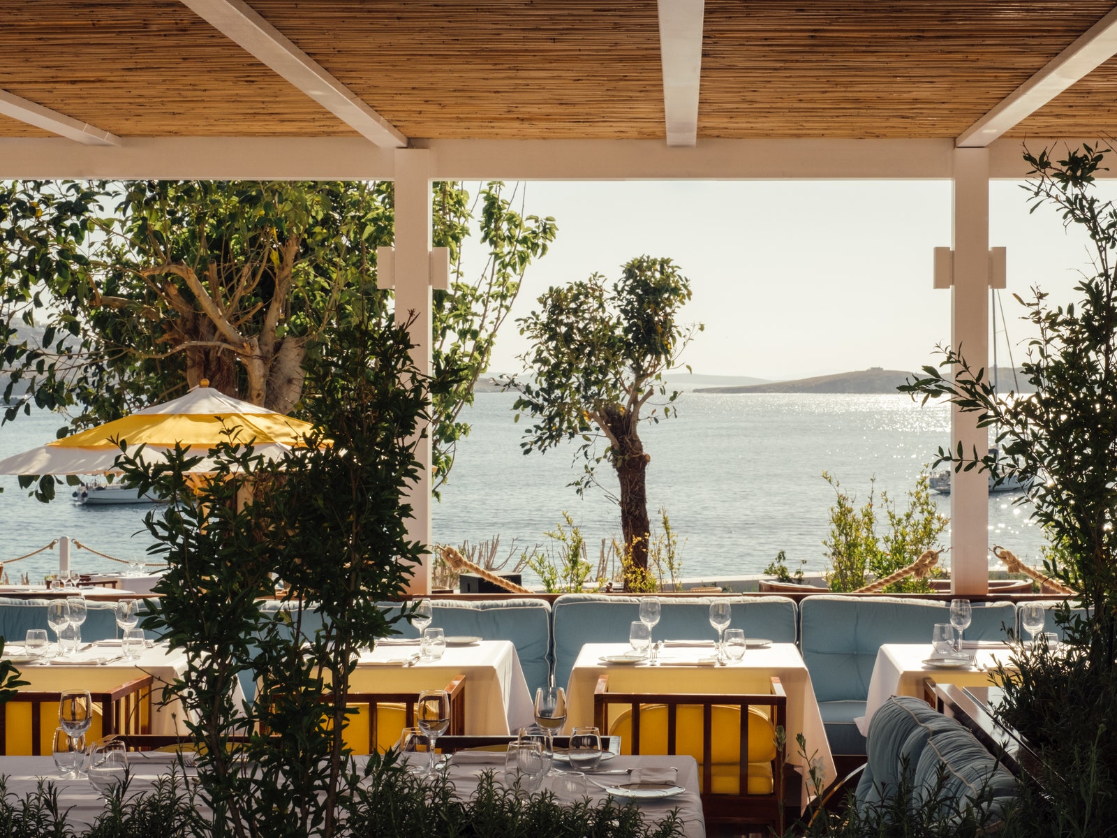 Carnet d'adresses lifestyle | AD Magazine-22