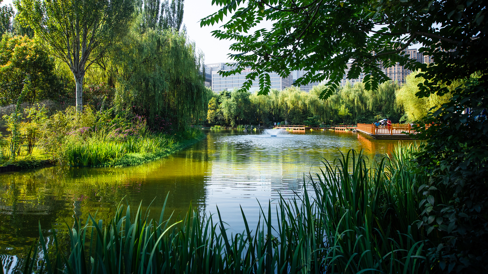 西安市体育公园景观丨中国西安丨中国西北建筑设计研究院-27