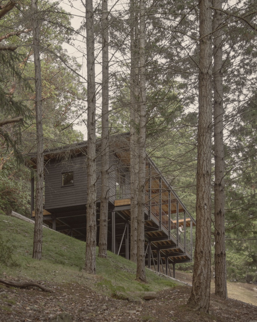 丨美国西雅图丨Miller Hull Partnership-29