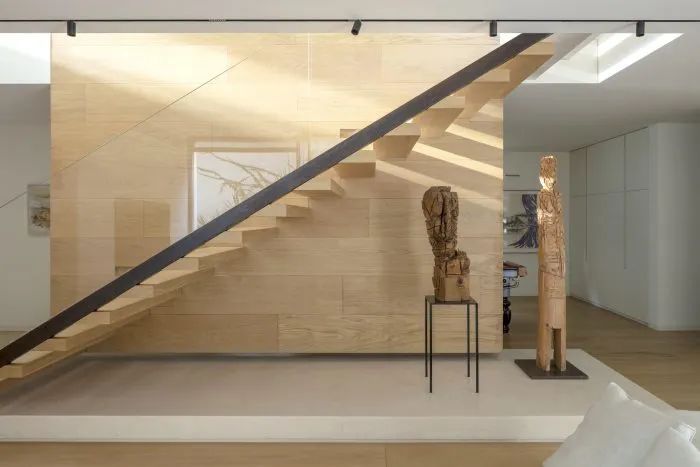 以色列 SDT 之家丨Ronnie Alroy Architects-34