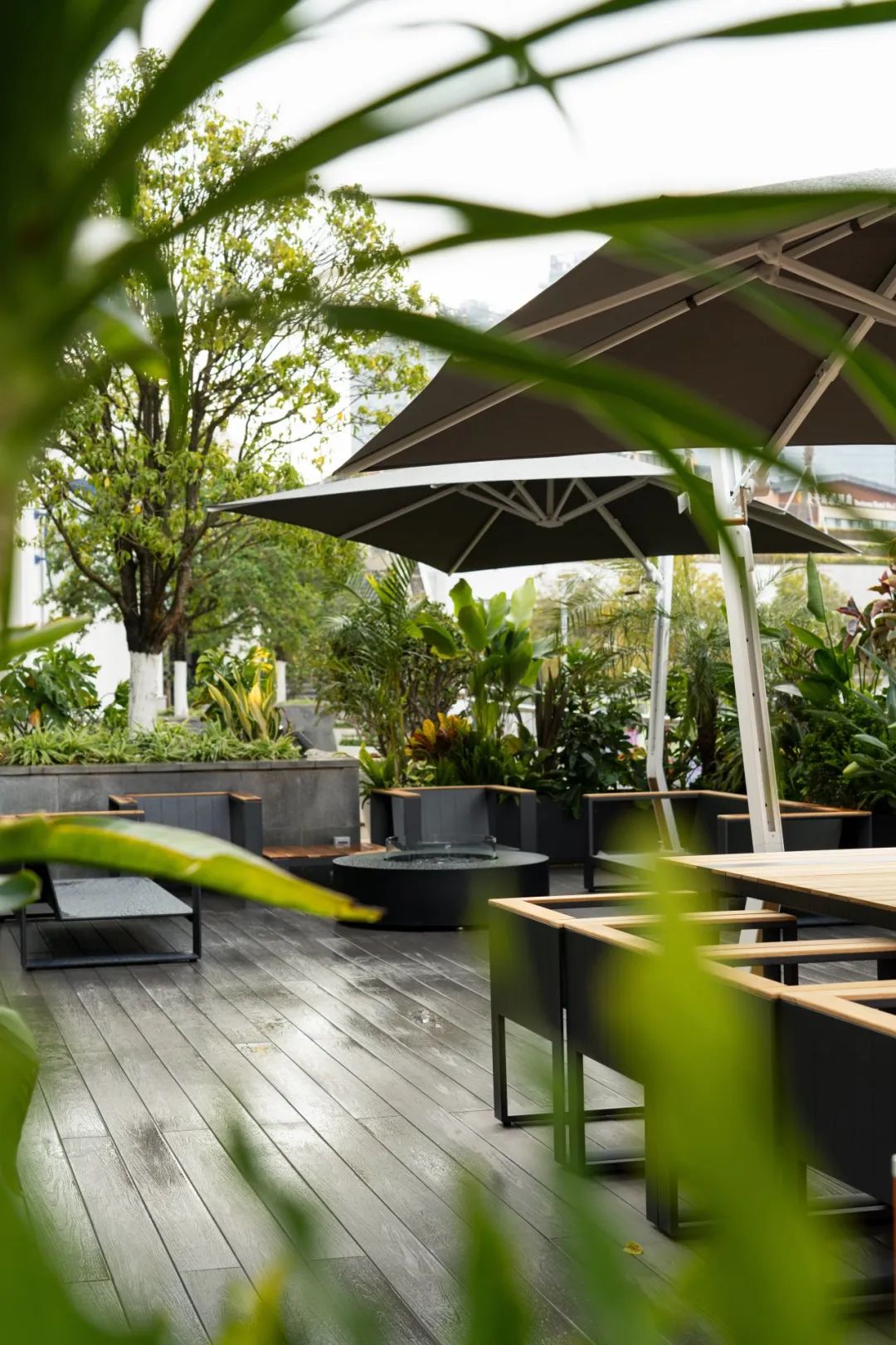 唱片工作室丨中国昆明丨主案方飞,朱兴鹏,参加设计赵超-6