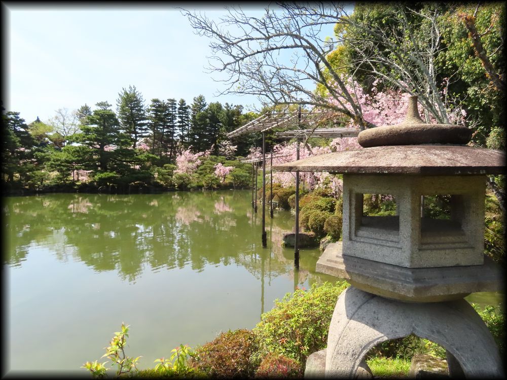 平安神宮の桜相关景观丨日本京都-24