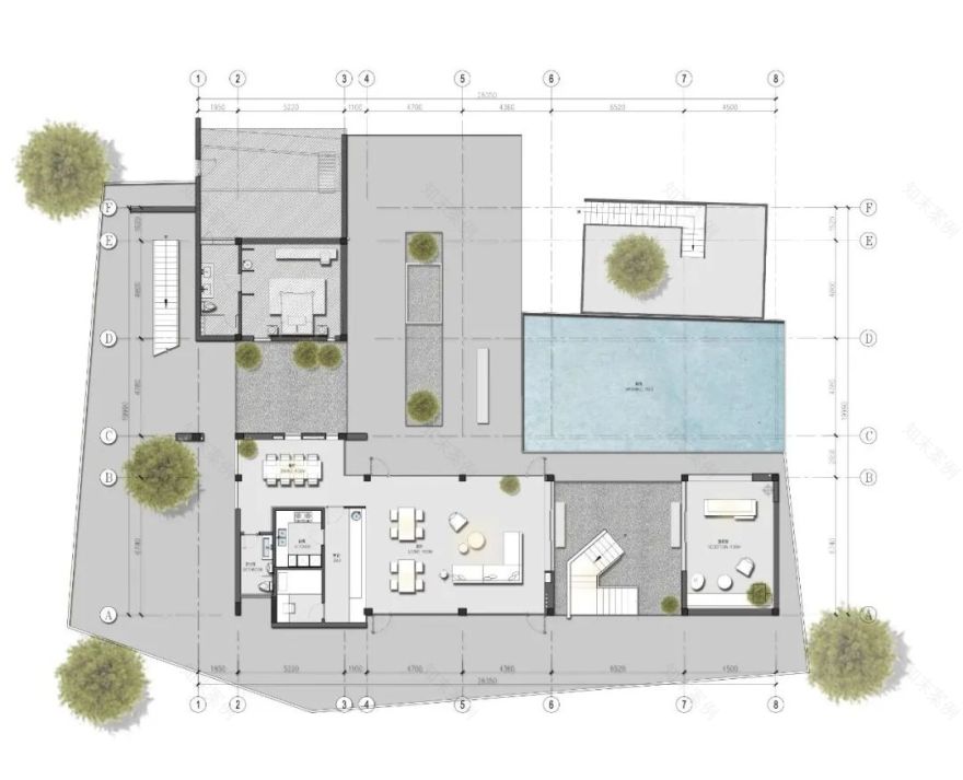 莫干山秘境杉林,尽享自然之美-115