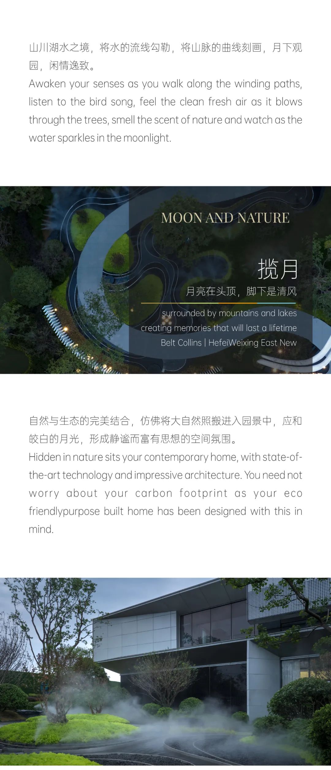 BELT COLLINS | 月下观园 合肥伟星 · 东新壹号-2