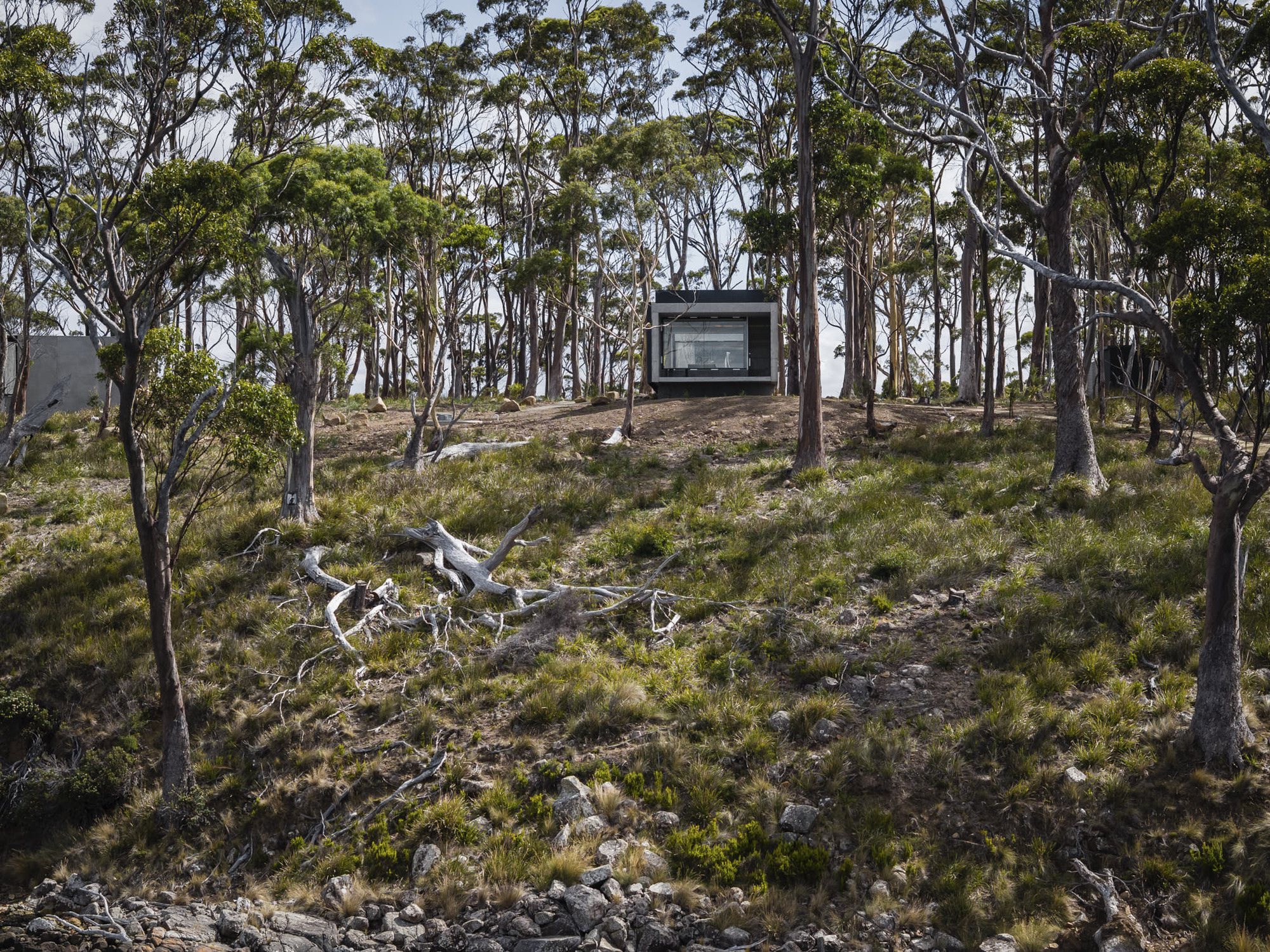 海边民宿丨澳大利亚塔斯马尼亚丨Room 11 Architects-39