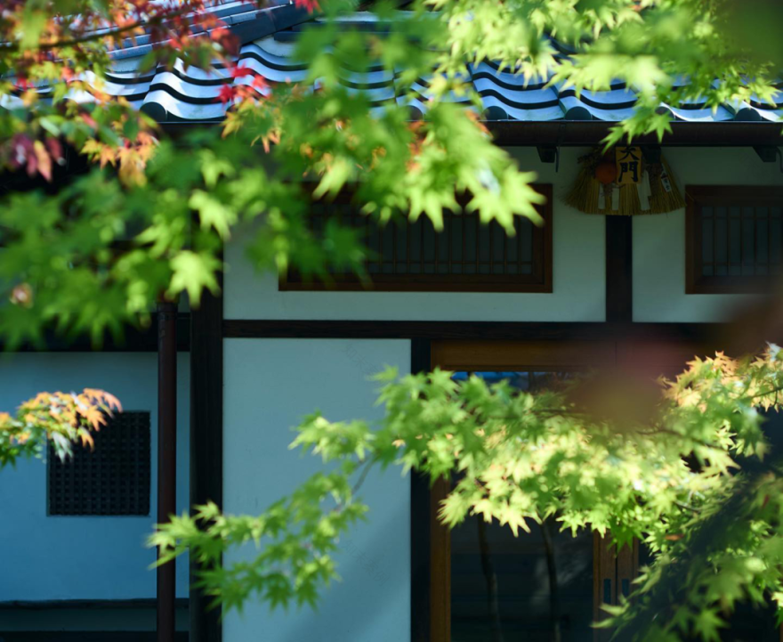 suimontei(翠門亭)民宿设计丨日本奈良-14