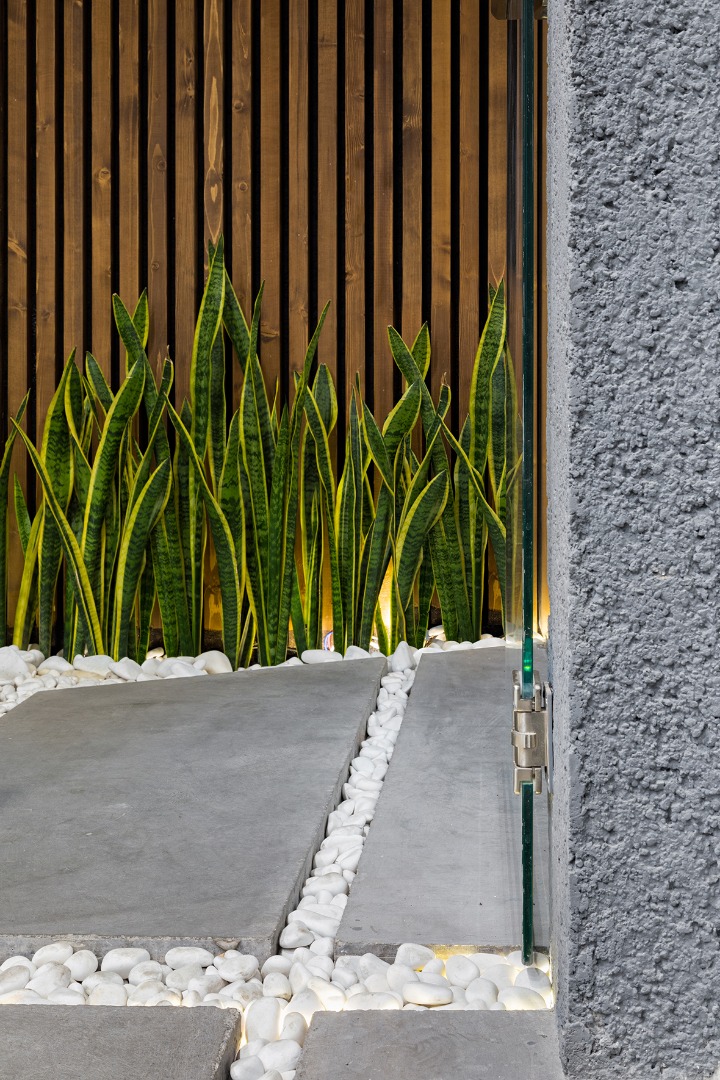 Tehran 建筑师的绿色庭院生活-34