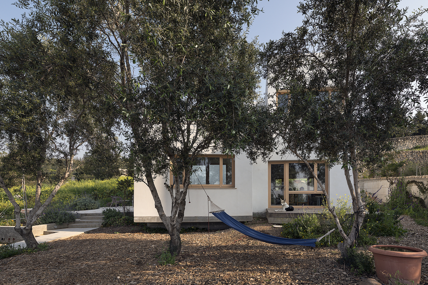 融合自然与社区的 SHN 住宅-26