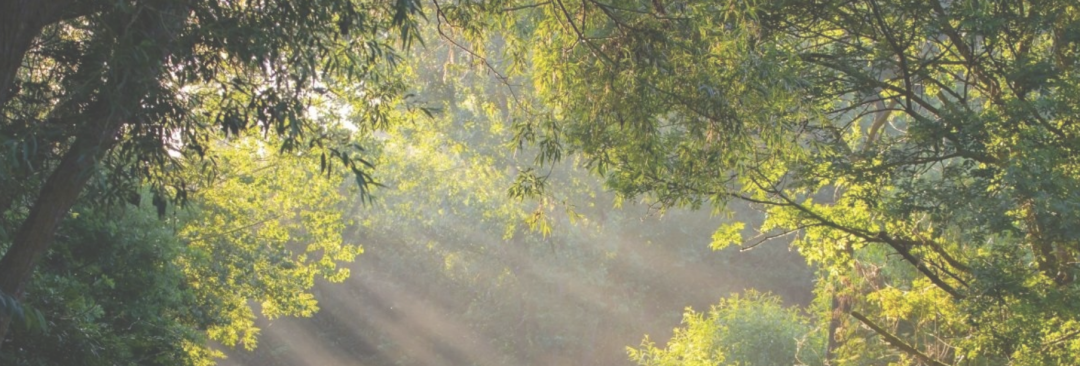 国汽智控（北京）科技有限公司总部办公楼设计及施工丨中国北京丨明尼苏答建筑设计咨询（上海）有限公司-38