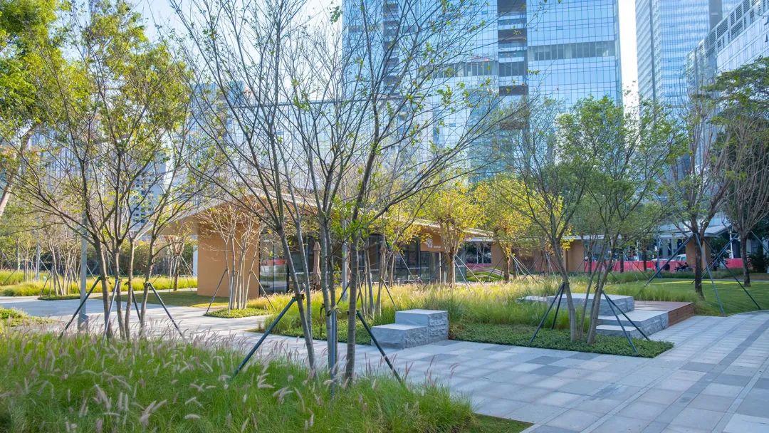 深圳智见·云上 · 科技与自然融合的社区公园丨中国深圳丨林俊英景观工作室,深圳市造源景观旅游规划设计有限公司-54