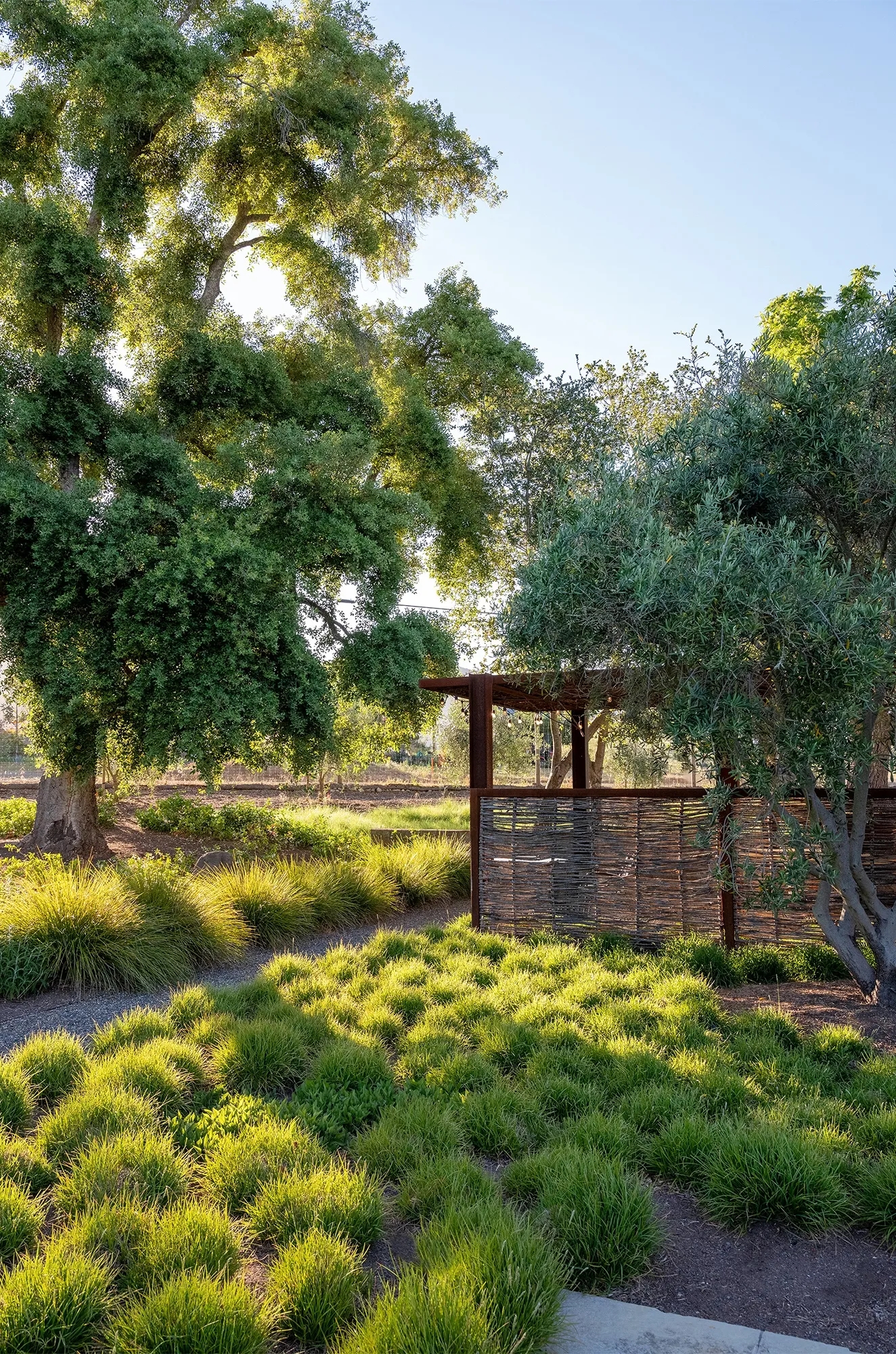 美国 Two Belles Farm 农场景观丨美国加利福尼亚-12