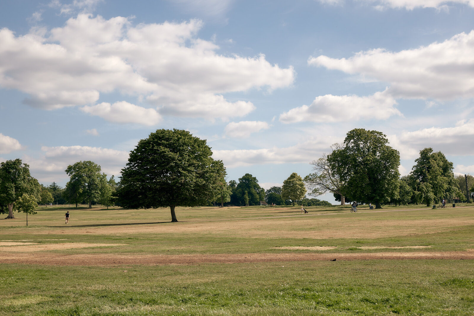 Our guide to Herne Hill and Tulse Hill: vibrant markets and outdoor swimming in south London | Journal | The Modern House-2