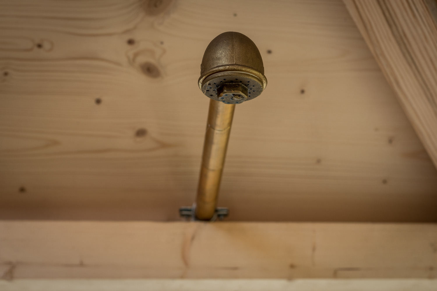 葡萄牙松树中筑巢树屋-27