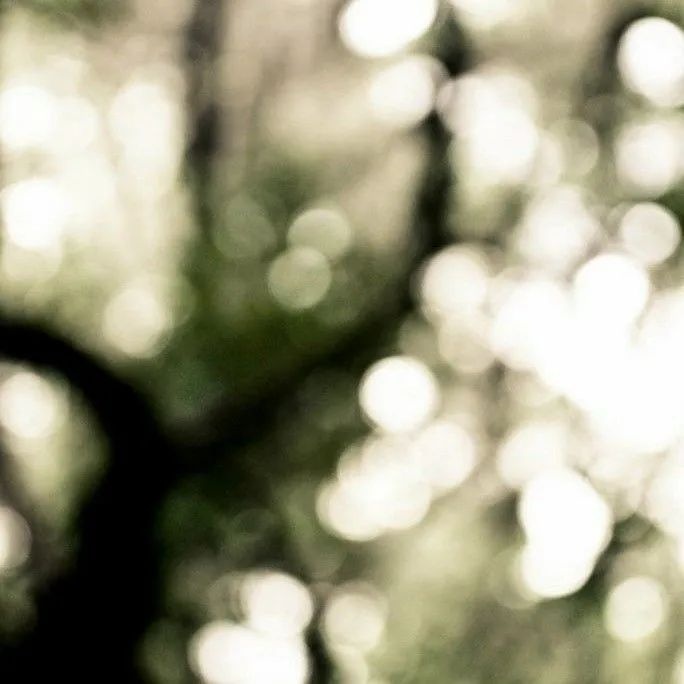 天安·江畔珑园丨中国重庆丨海力空间设计-5