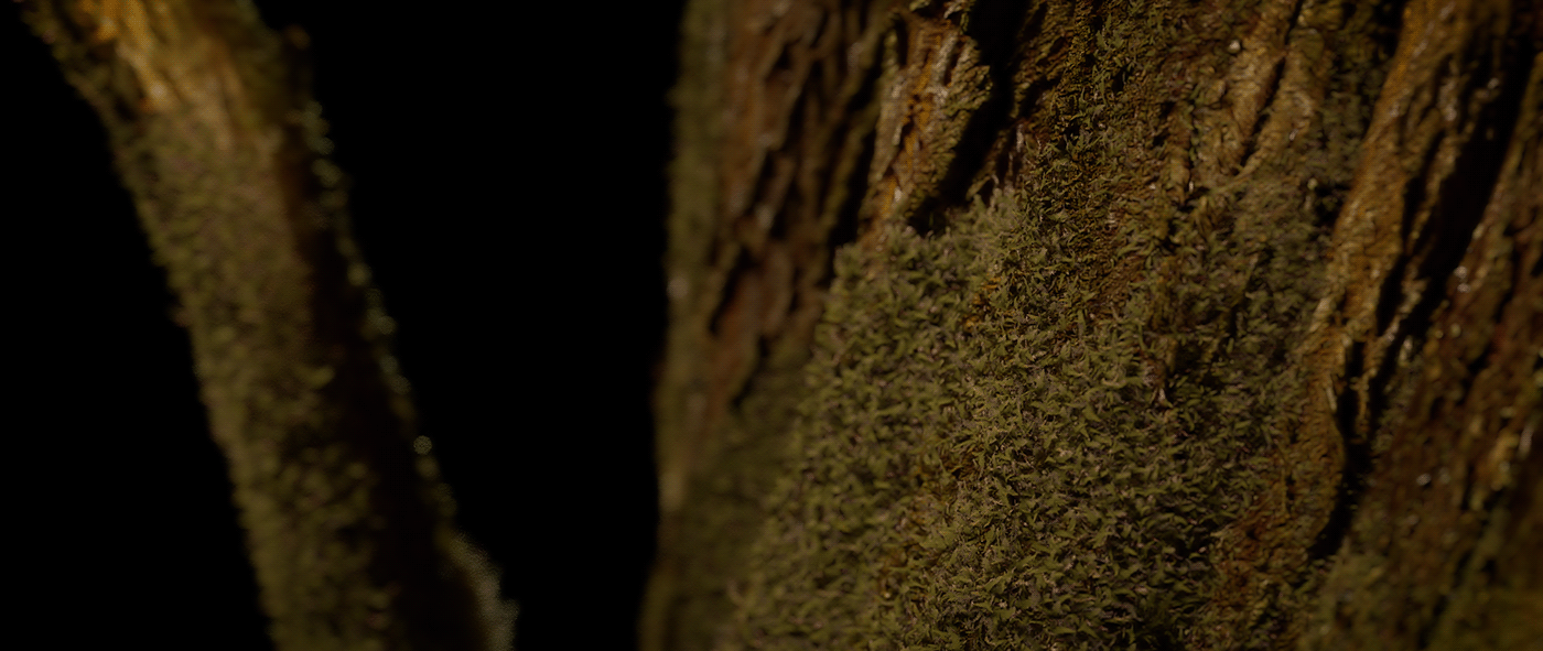 被征服的自然-12