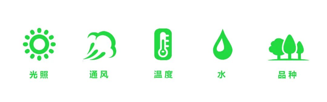 JLC金陵中環|从水墨画境走入自然草木-60