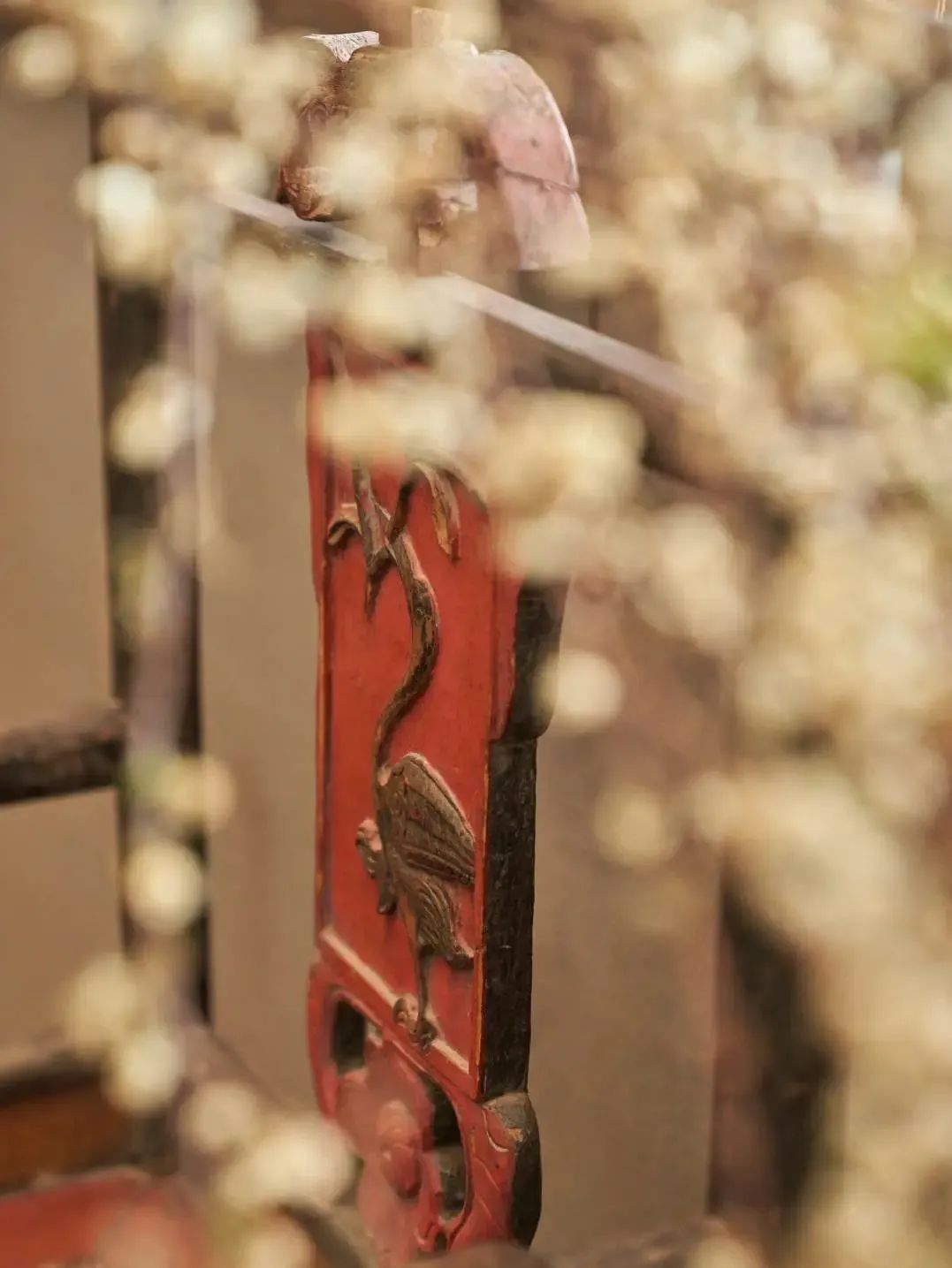 藏家设计师徐晓华的时空乌托邦丨中国苏州-28