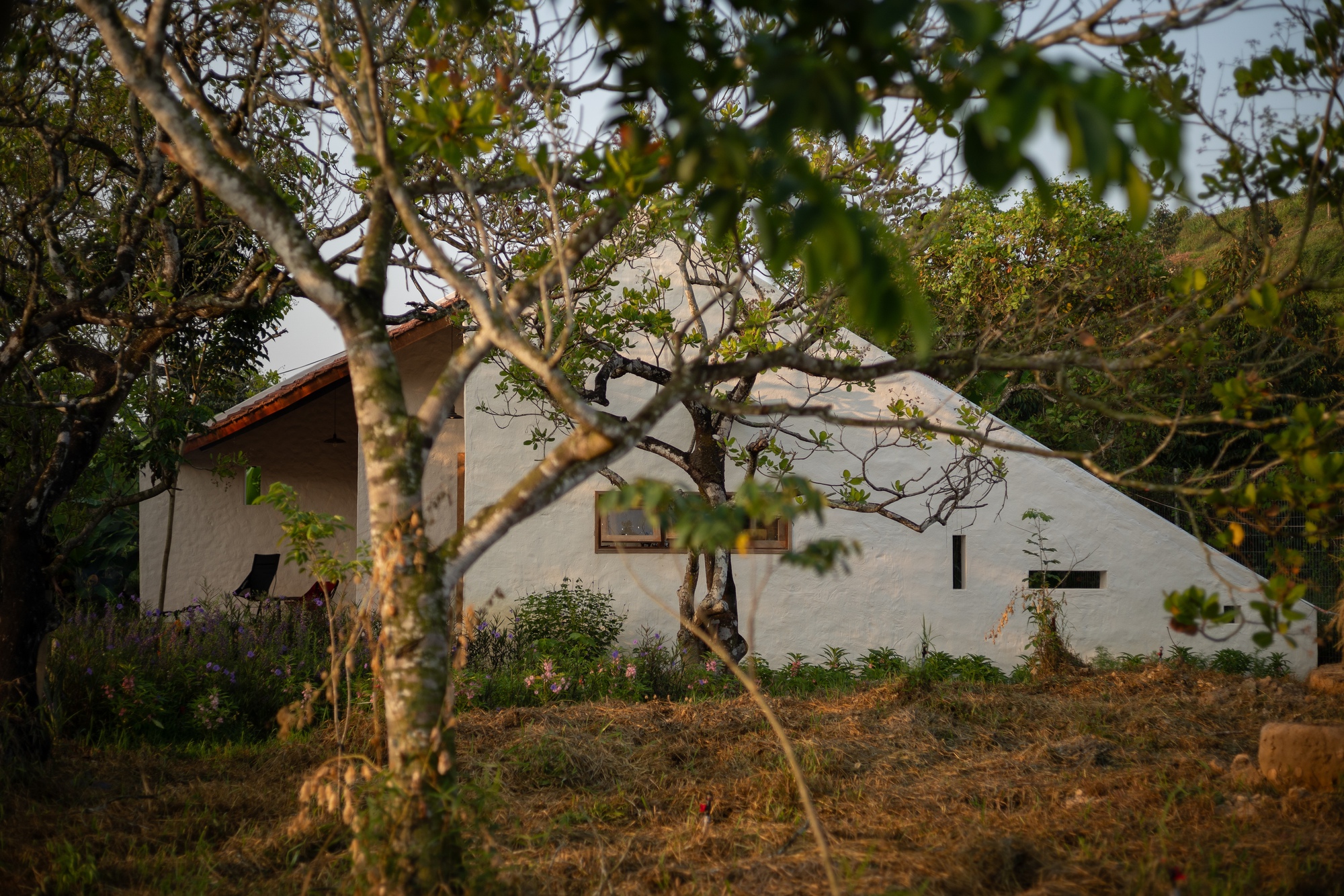 丨越南丨G+ Architects-49