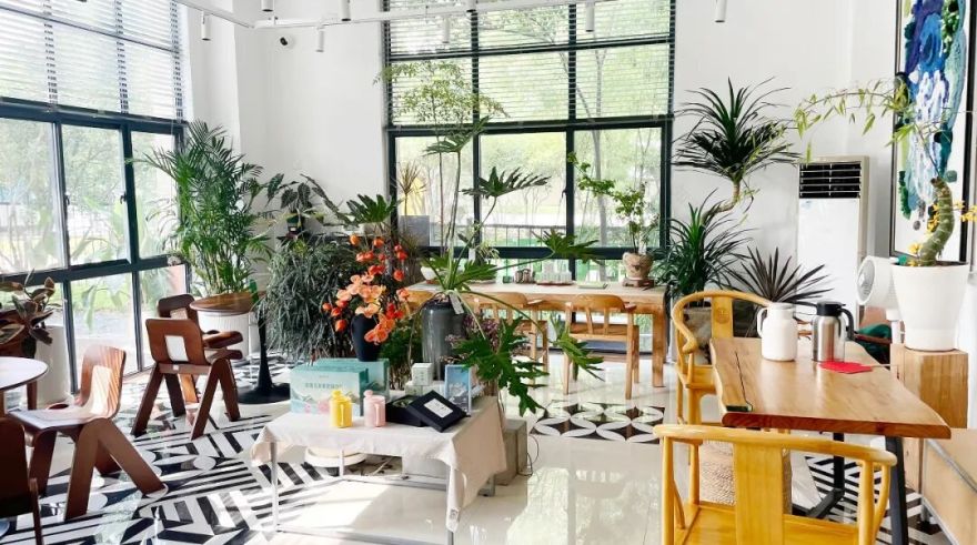 大众网满月回访泉民园艺中心领航店-42