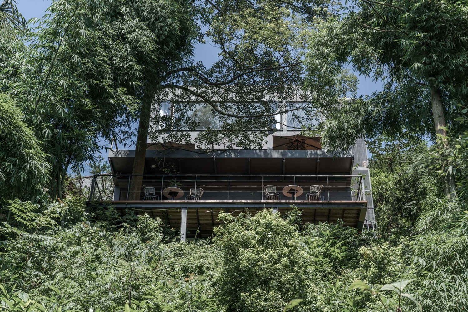 南山乡村民宿 | 现代简约与自然的完美融合-7