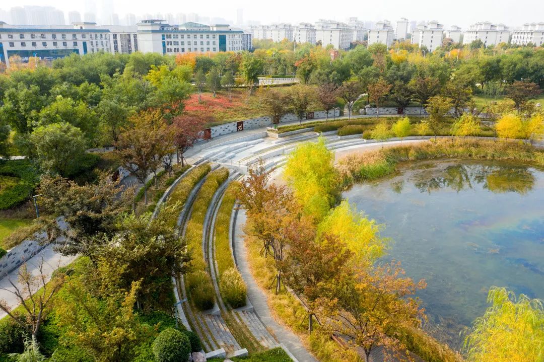 生长中的花园 · 郑州龙子湖公园的生态景观改造丨中国郑州丨棕榈设计有限公司杭州区域-25