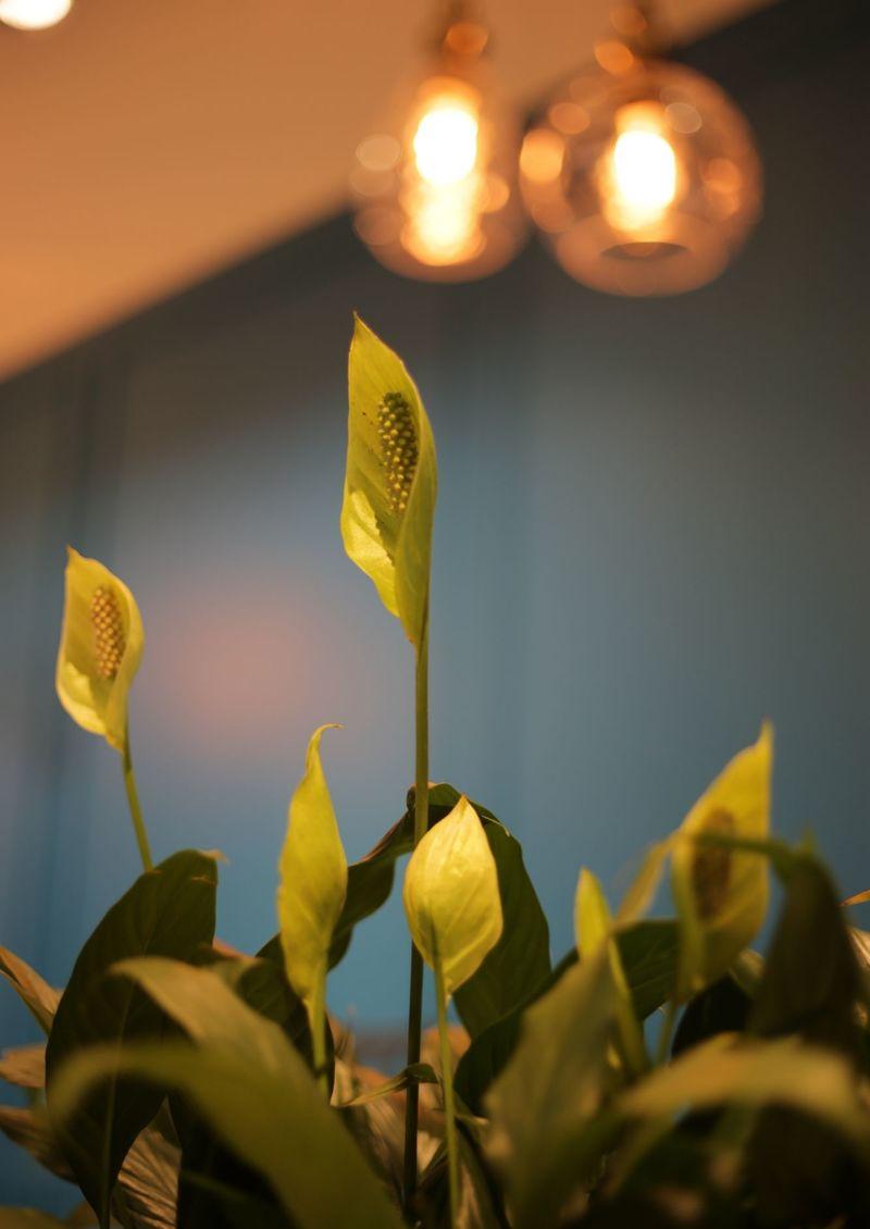 新加坡办伴共享办公室-49