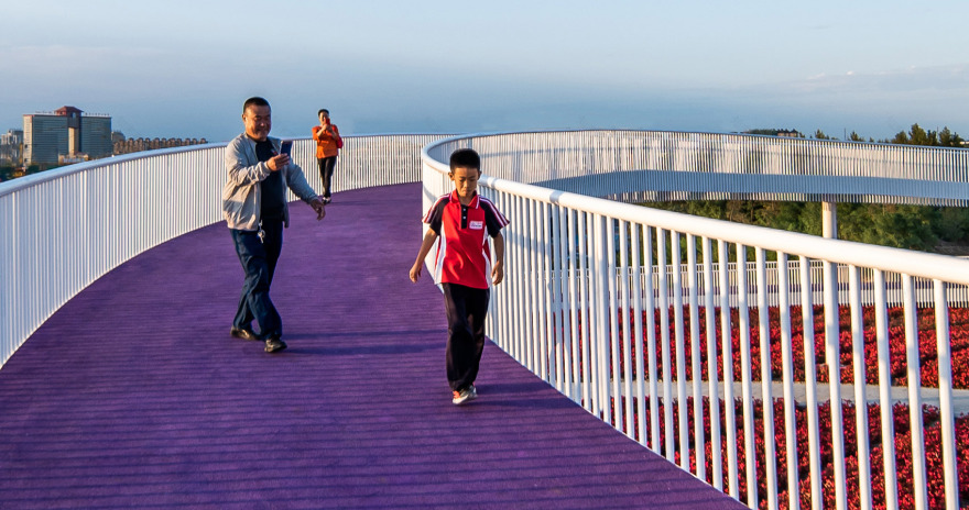 梅河口浪漫花海公园丨中国吉林丨麦田景观-39