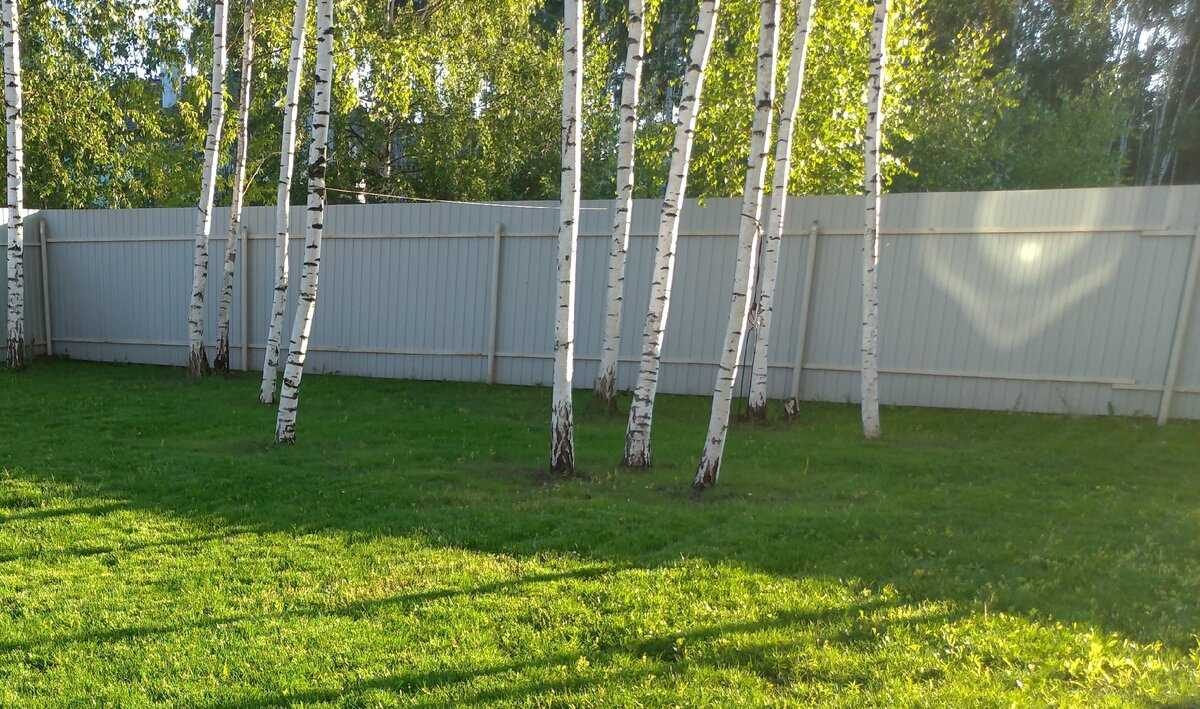 荒芜地块变身梦幻花园景观设计丨业主夫妻（自行设计）-26