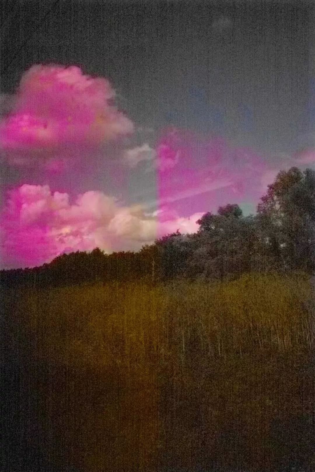 《丽芳园记》艺术盛宴,城市与自然的和谐交融-4